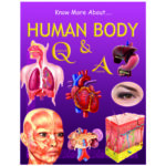 know-more-about-human-body