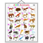 educational-chart-abc-animals