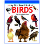 my-first-board-book-of-birds