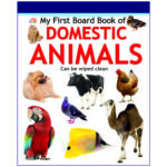 my-first-board-book-of-domestic-animals