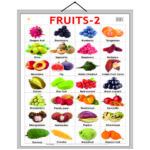 educational-chart-fruit-2