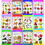 kids-picture-wordbook-hard-cover-set-of-12-books
