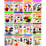 my-first-board-book-of-set-of-16-books
