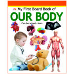 my-first-board-book-of-our-body