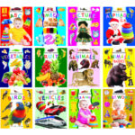 preschool-learner-set-of-12-books