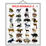 educational-chart-wild-animals-2