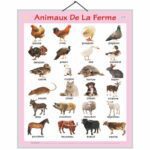 educational-chart-farm-animal-in-french