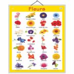 educational-chart-flower-in-french