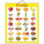 educational-chart-fruits-in-french