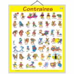 educational-chart-opposites-in-french