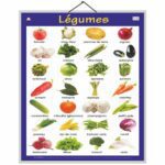 educational-chart-vegetables-in-french