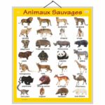educational-chart-wild-animals-in-french