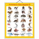 educational-chart-wild-animals-2-in-french