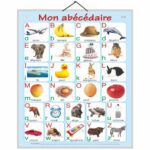 educational-chart-my-alphabet-book-in-french